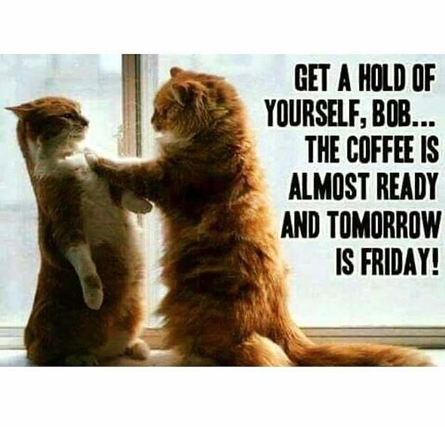 Almost #friday #coffeetime bit.ly/2pPfOt4