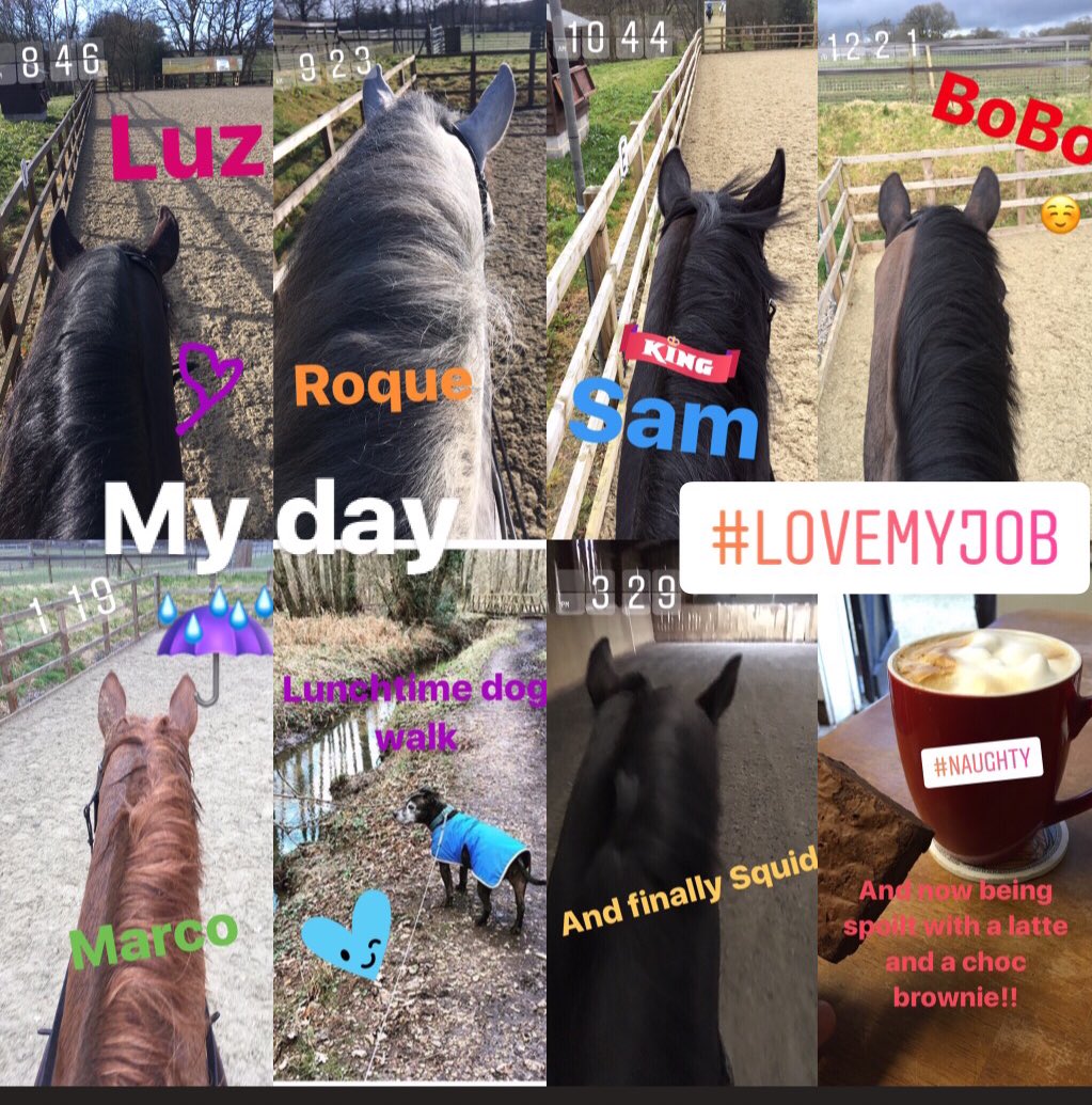 My day! #lovemyjob #247equestrian #stylereins #thedressagehour