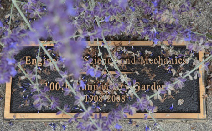 Pamplin College of Business tweet media