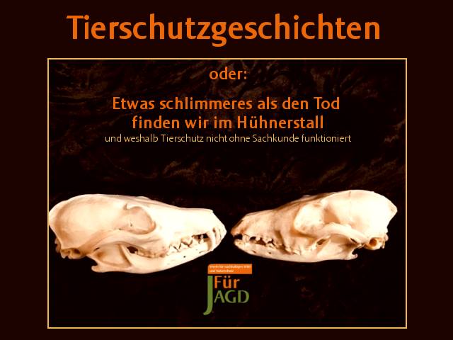 Jetzt lesen: Tierschutzgeschichten oder: Etwas schlimmeres als den Tod finden wir im Hühnerstall… go.fuerjagd.de/7188