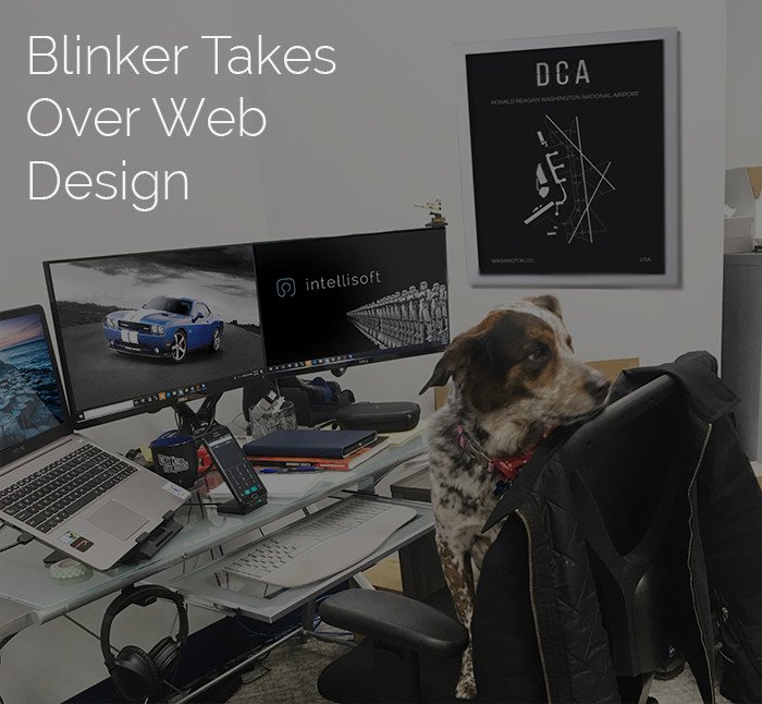 intellisoft_usa's tweet photo. UNLEASHED:  Intellisoft's flexible work space ignites creative thinking

See the complete images and video @ https://t.co/kWT35oodUR https://t.co/9bQk33h7Nn