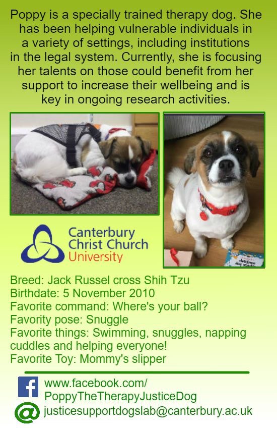 PoppyTherapyDog's tweet photo. Poppy’s new business cards, all ready to go! @SupportDogs https://t.co/ZVekjllaCh