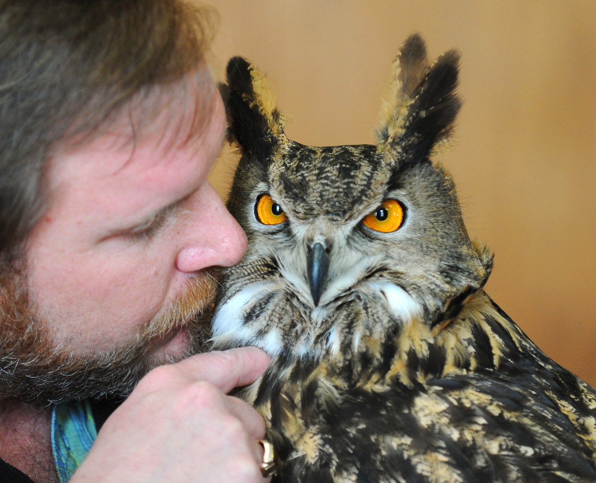 Tyler Sizemore tweet media