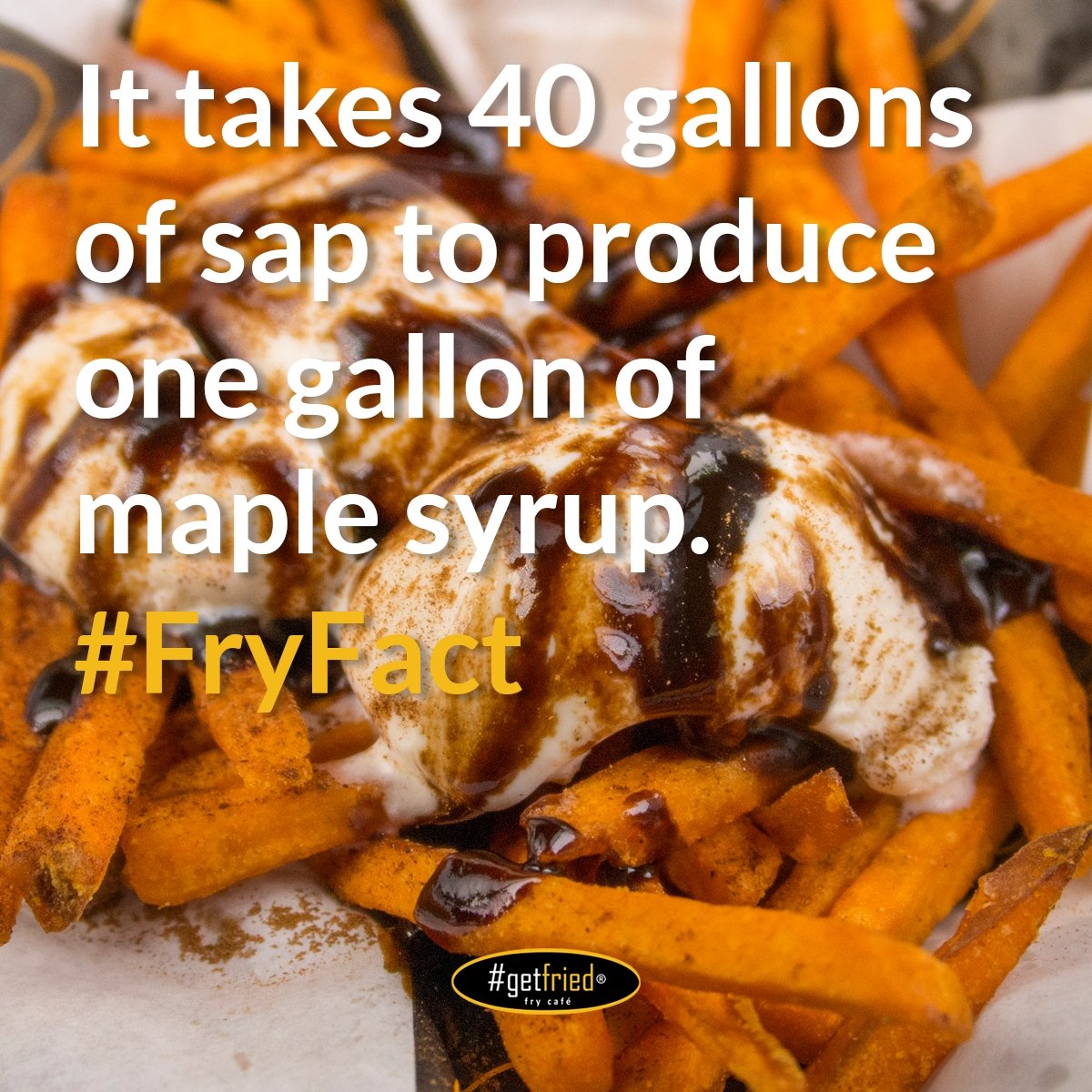 getfrieddunedin's tweet photo. There's liquid gold in those maple trees and you can get a taste of it in our Sweet Tooth Basket. #getfried https://t.co/d54wZueyuD