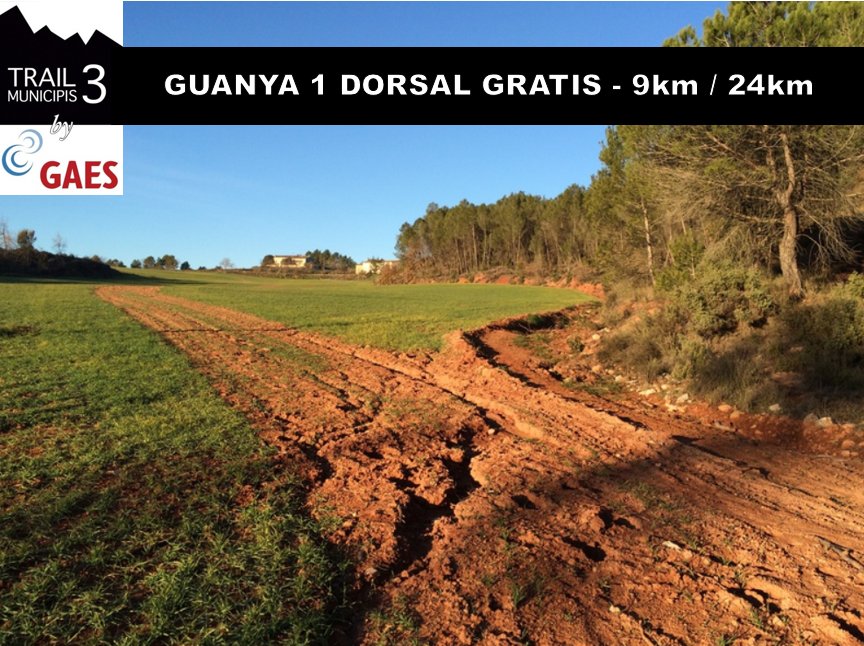 esportistesCAT tweet picture