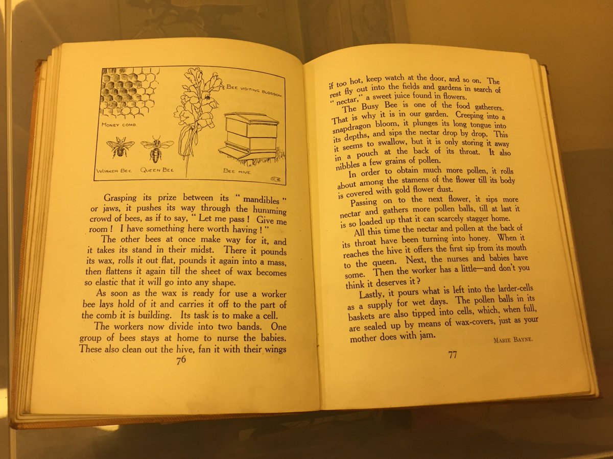 _SELCIE_'s tweet photo. The sun is out and it really feels like #Spring here in #Edinburgh. With that in mind, I was so happy to see a book all about flowers and the subsequent #honey! https://t.co/1XhWkRBJTT
