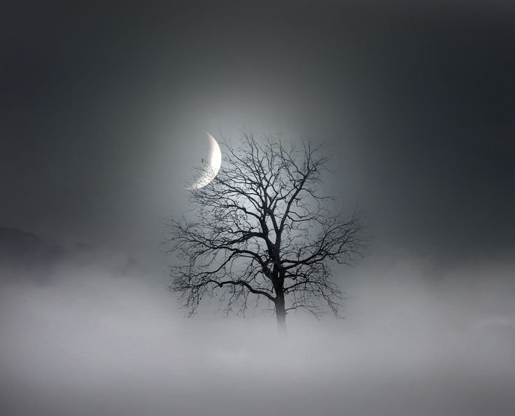 В воздухе стояла мгла из белесоватого небо. Туман ночью. Луна в тумане. Месяц в тумане. Ночной пейзаж.