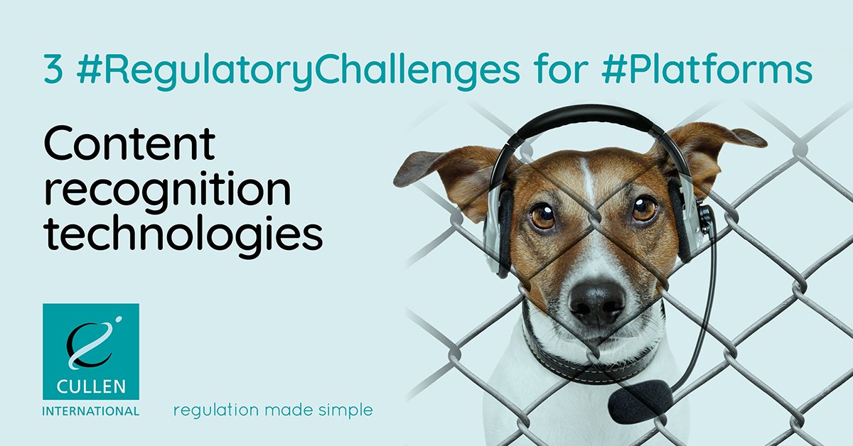 CullenInt's tweet image. Spanish &amp;amp; French courts don&apos;t require #platforms to apply measures to detect illegal activities, whereas recent Italian &amp;amp; German court decisions show that #platforms can be obliged to apply #contentrecognition technologies
okt.to/lzRJkf