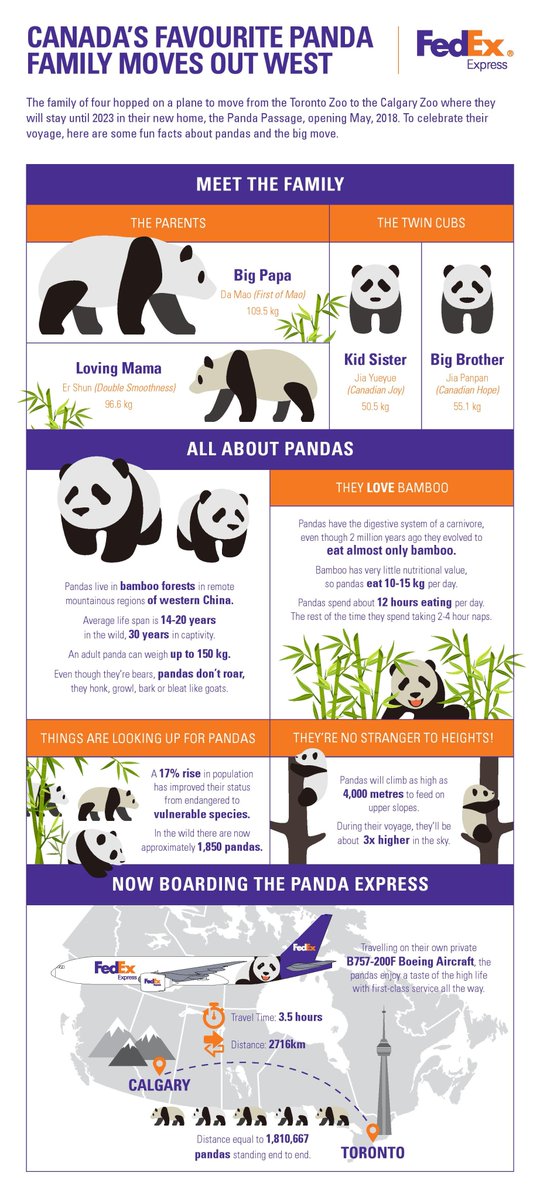 FedExCanada's tweet photo. Reminiscing on last week's panda-monium with these fun facts. #FedExPandaExpress https://t.co/G7ubyq2VKS