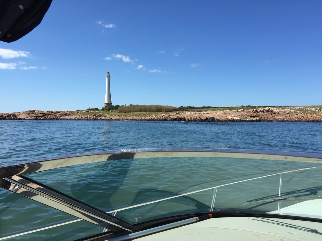 BBrunoSosa's tweet photo. 🛥🗼🌊🙌 https://t.co/ZTIjOUD3by