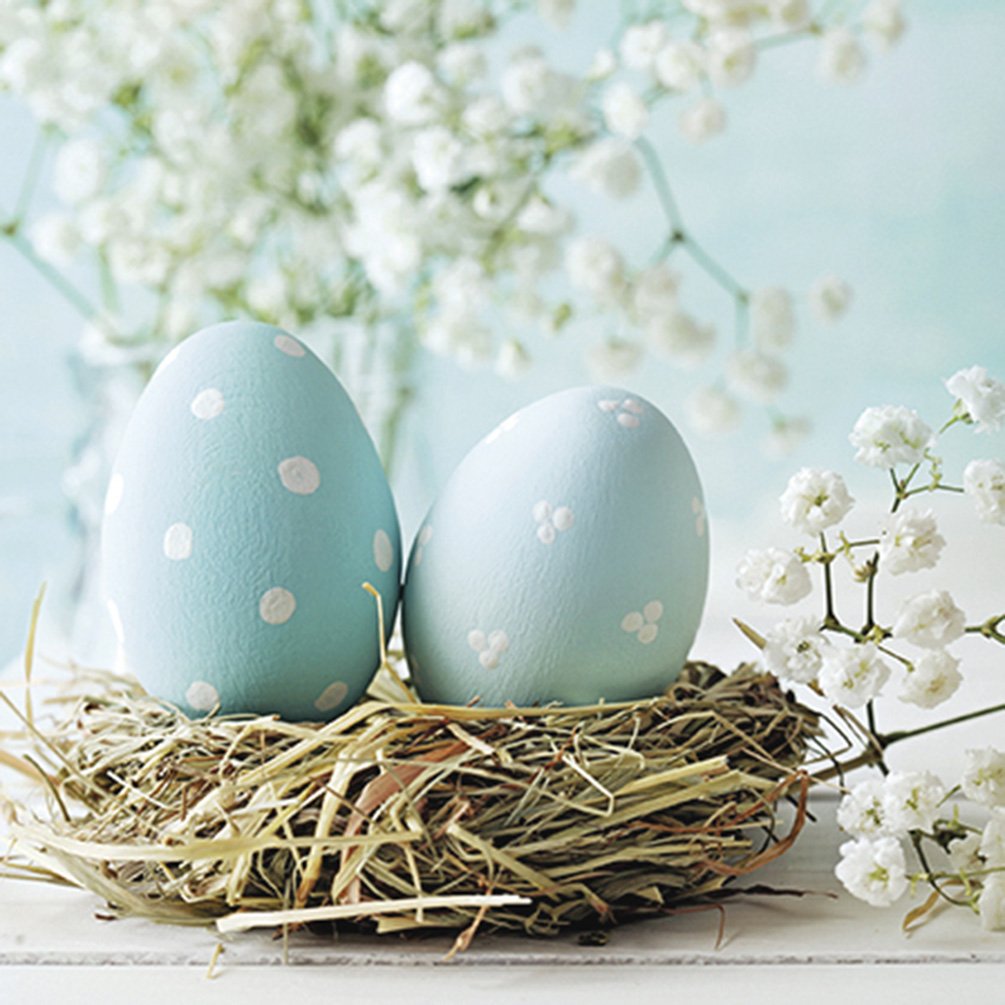 OderinKitchen's tweet photo. Easter Hours:
Friday- Closed
Saturday- 10:00am to 5:30pm
Sunday- Closed
Monday- 10:00am to 5:30pm
#HappyEaster #shoplocal #brockstreetcommons #ygk https://t.co/Z3jiDZtL3F