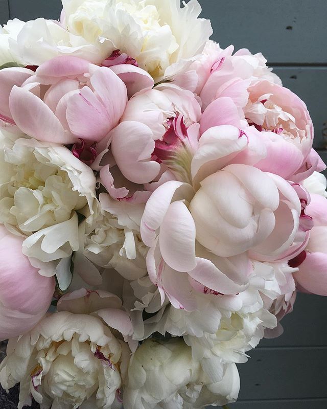 steph turpin tweet media