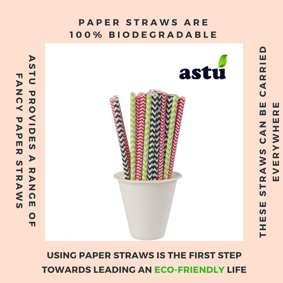 Take the first step towards leading an #ecofriendly life #ditchplastics #breakupwithplastics #paperstraws #biodegradable #GoGreen