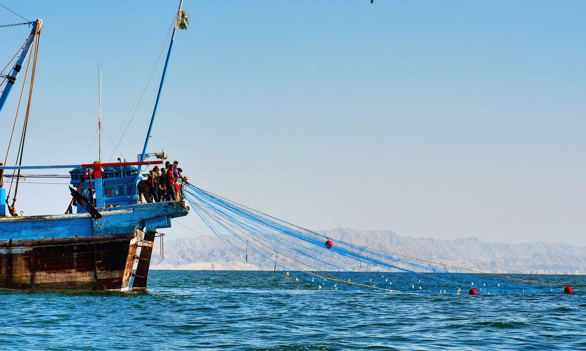 More from the hidden gem of Pakistan. Astola Island, Balochistan. #VisitPakistan2021  #WorldTourismDay