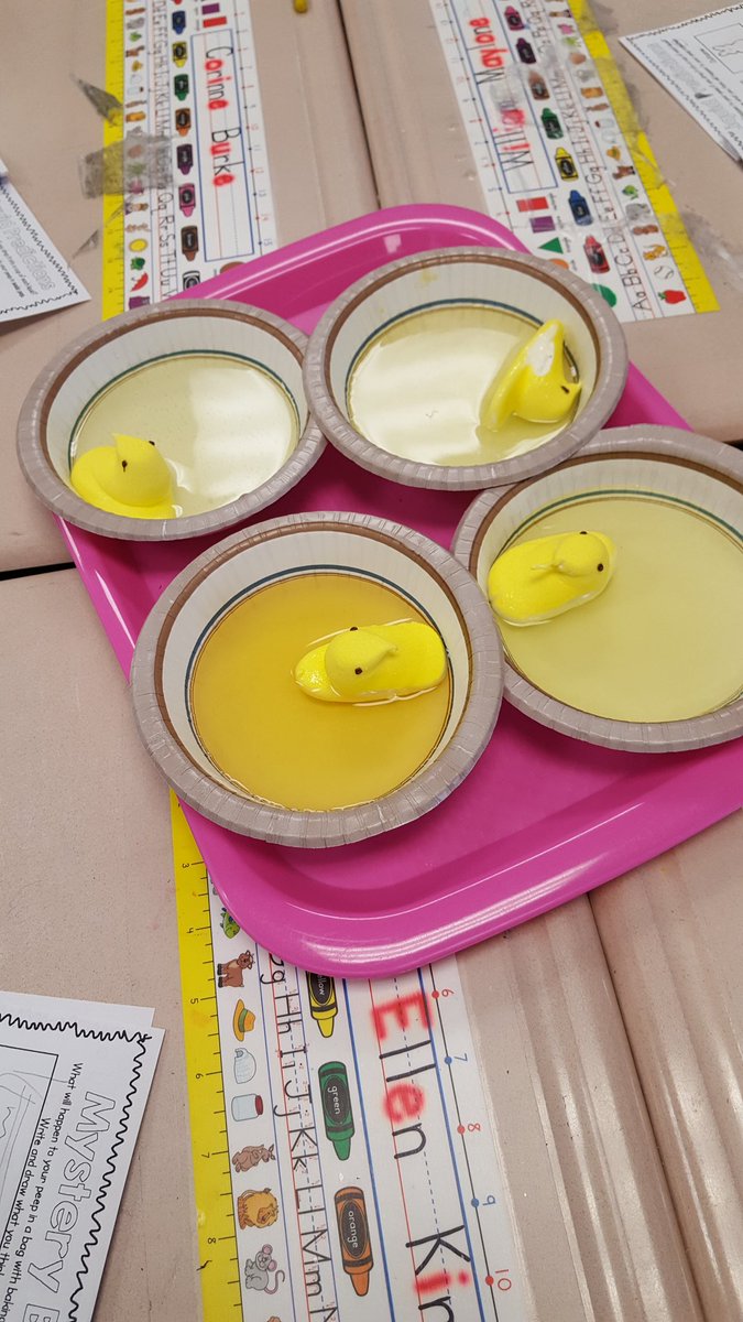 DCESJFachler's tweet photo. A little Peeps science! Exploring how Peeps react in different liquids. https://t.co/Zuh7XOLMkh