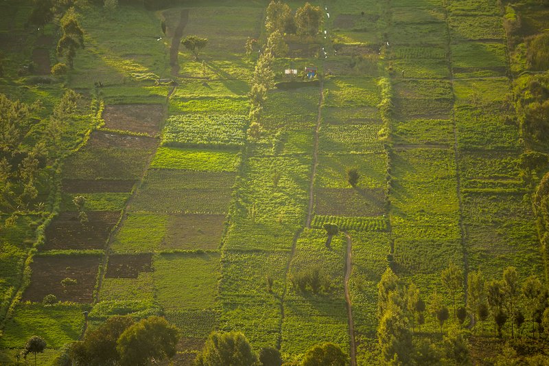 Center on Food Security and the Environment (@foodsecurity_su) on Twitter photo Can satellites deliver accurate measures of crop yields in smallholder farming systems? <a href="/DavidBLobell/">David Lobell</a> weighs in and references newly published research from an <a href="/FoodSecurity_SU/">Center on Food Security and the Environment</a> & <a href="/WorldBank/">World Bank</a> collaboration. bit.ly/2J3k1S1 Can satellites deliver accurate measures of crop yields in smallholder farming systems? <a href="/DavidBLobell/">David Lobell</a> weighs in and references newly published research from an <a href="/FoodSecurity_SU/">Center on Food Security and the Environment</a> & <a href="/WorldBank/">World Bank</a> collaboration. bit.ly/2J3k1S1