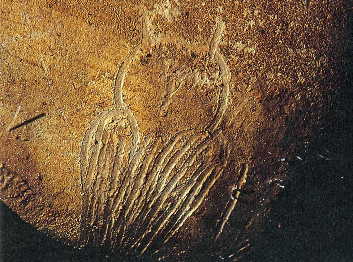 Jamie_Woodward_'s tweet photo. This magnificent #IceAge owl from Chauvet Cave was created by muddy Palaeolithic fingers more than 32,000 years ago. The owl is so carefully observed shown looking backwards with its head turned through 180 degrees #IceAgeArt https://t.co/HEw6CXG6W4