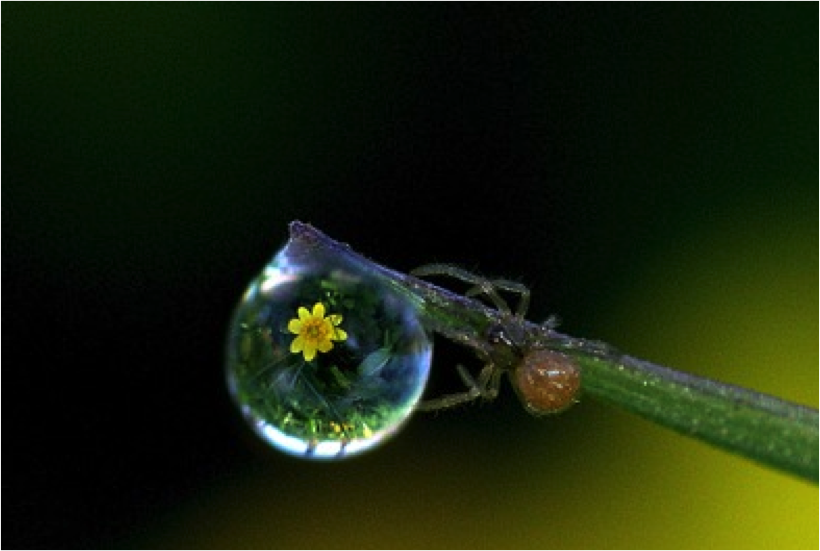 bioscopelab's tweet photo. Prochaine soirée publique du @bioscopelab
Pour fêter le printemps, venez découvrir les micromondes
Info: https://t.co/RUUXKg7gkT
@UNIGEnews #biodiversité #Microscopy @Scienscope #TogetherSci https://t.co/scDPHNYdwz
