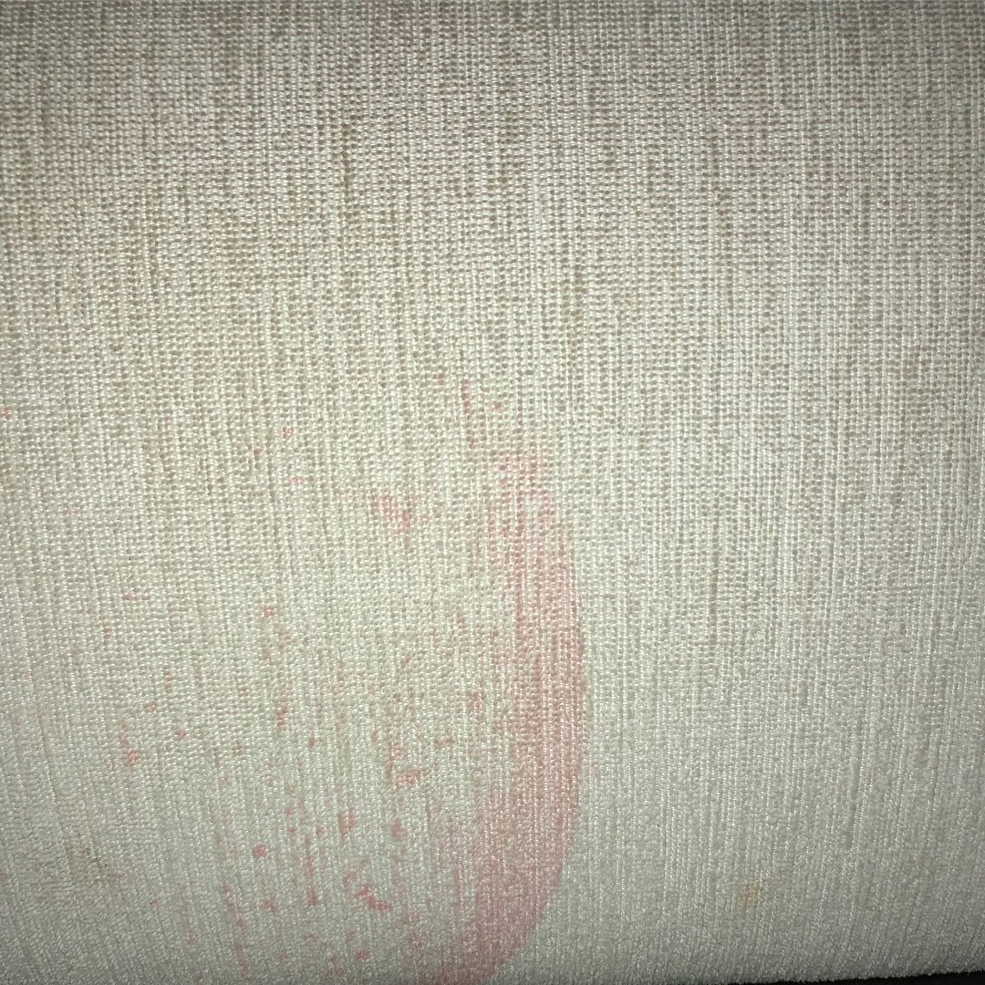 FabPro_'s tweet photo. Pre-Workout Gone Wrong. Not a problem for Fab-Pro!
#fabprofam #fabpro_ #cleaning #stainguard #homedecor #interiordesigners #familyowned #since1994 #protectandclean #designerschoice https://t.co/kP0K8ajfz1