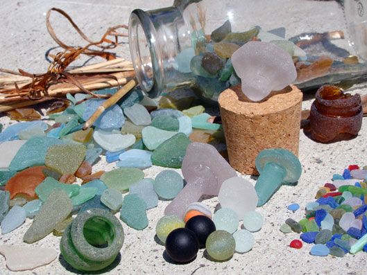 FIMuseum's tweet photo. Identification Day - 10 till 12pm Sat 14th April at the HDM.  Bring your shells, feathers, bones, fossils, glass or absolutely anything you have found!  All ages #beachcombing #Falklands #IdentificationDay https://t.co/Lah5Z8LZp1
