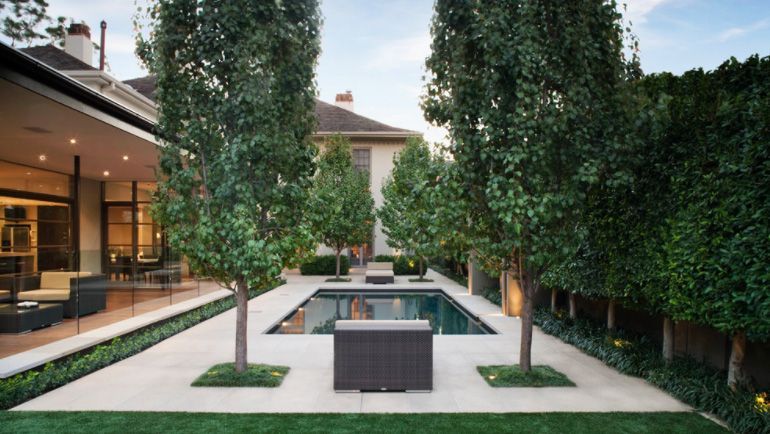 AdcockRealty's tweet image. The Best Trees for Privacy, Shade, and More You&apos;ll Adore buff.ly/2GhHSQa  #privacytrees