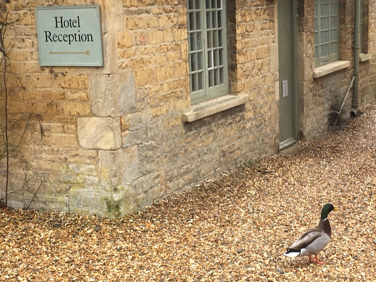 The Dial House Hotel tweet media