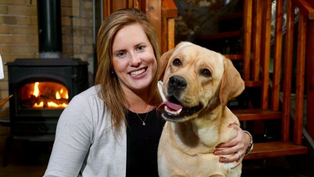 CBCToronto's tweet photo. How Bo, a yellow Lab, inspired his owner to bring veterinary care online https://t.co/pWgNY9d1aP #cbcstartup https://t.co/bCNebLwSPf