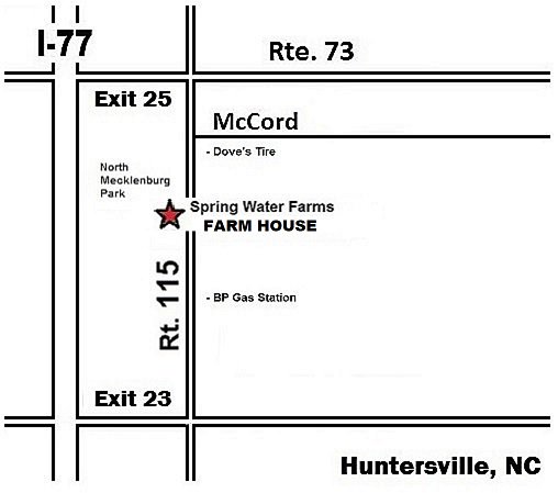 SWFarmsNC's tweet image. THE BEEF IS HERE!  Right next to NORTH MECK PARK in Huntersville. Stop by We've got it all! Pasture-Raised Sirloin Ribeye New York  Filet Cubed Philly Porterhouse Chuck Rump Round  Shoulder Arm Pre-made Chuck Patties Much More...   springwaterfarmsnc.com