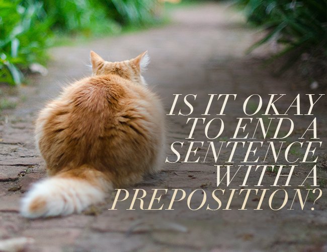 TheRightMargin's tweet photo. Is It Okay To End A Sentence With A Preposition? https://t.co/Rz4LF2VDFN via @write_practice #writelife #amwriting https://t.co/EZjTC2Nc9H