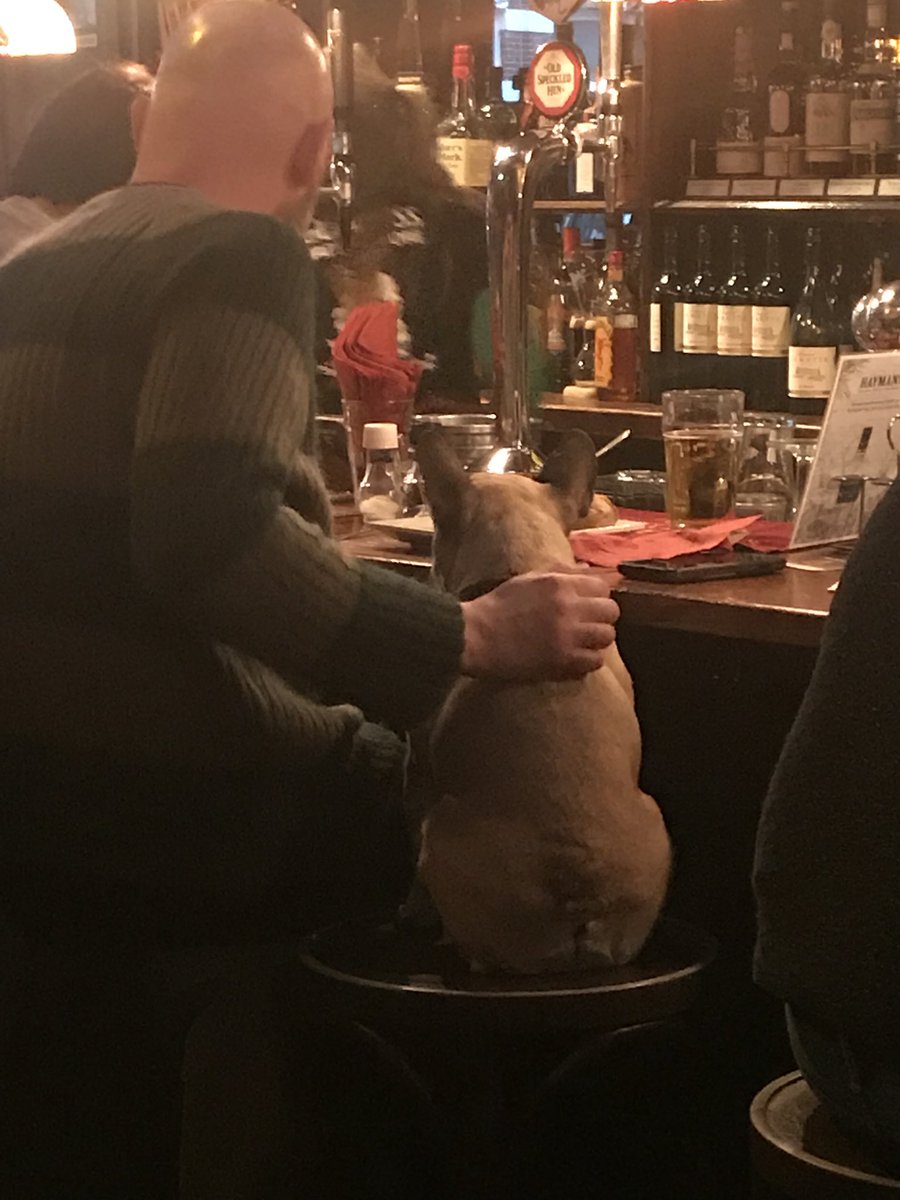 DavineFanpage's tweet photo. A man and his date!💕 #TheHague #DenHaag #Manmethond #aandebar https://t.co/0DHTj99RPB