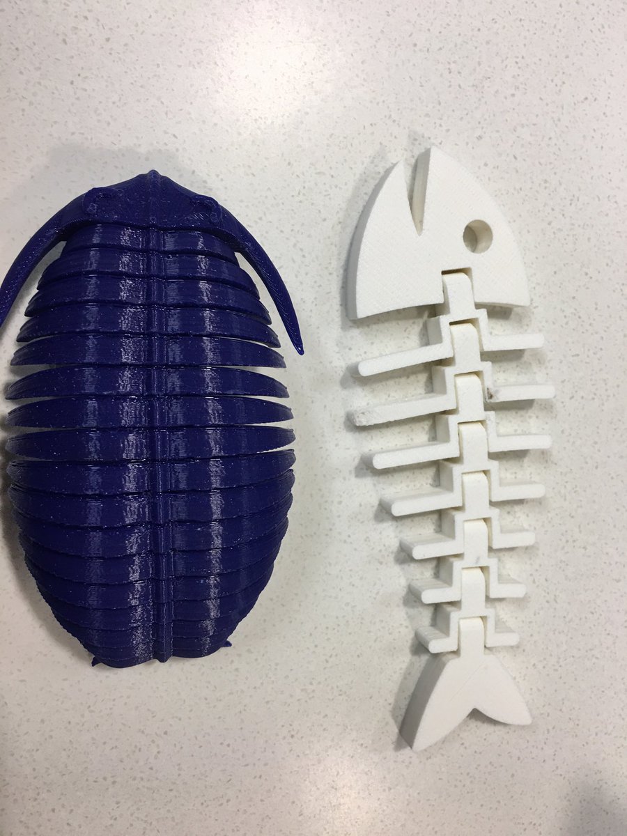 Dr. Bradley Bielski tweet media