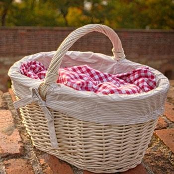 Lone Tree Pediatrics tweet media