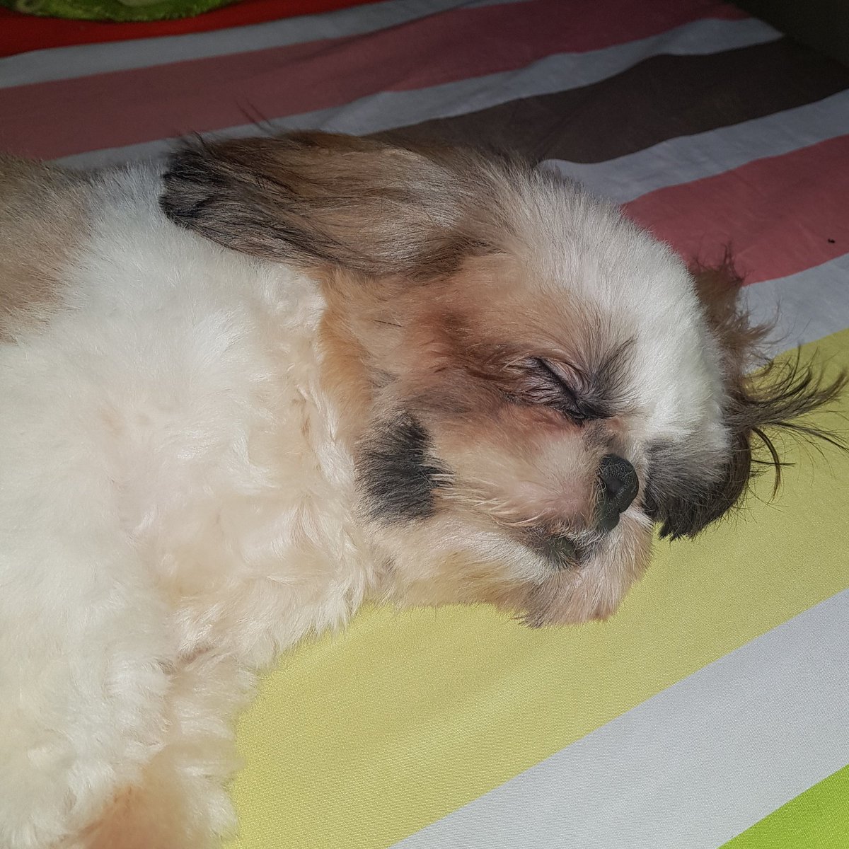 crisiav's tweet photo. When u r sleeping but u remember that stupid thing u said 5 years ago. https://t.co/s7uKggAzwP