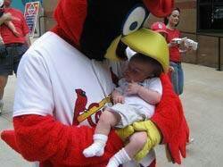 10iskristin's tweet photo. Yearly reminder that the St Louis Cardinals eat babies https://t.co/BK9vyGhwh5