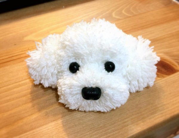 evewoolfelt's tweet photo. 初めての動物ぽんぽん😆 https://t.co/Nk3LduVUUo