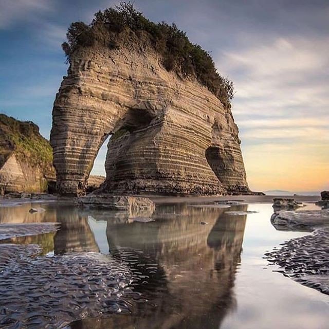 staartsblog's tweet photo. Reposting @amazingtravelblog: - via @Crowdfire 
New Zeland , Place full of magic things like this !!! Aastodontic Elephant in the Ocean !!!
.
. ✔ Follow @amazingtravelblog ✔
.
.
#newzeland #elephantrock #amazingtravel #amazingtravelblog #travelblogger #travellife #landdownunder https://t.co/cPO5JM0Vzq