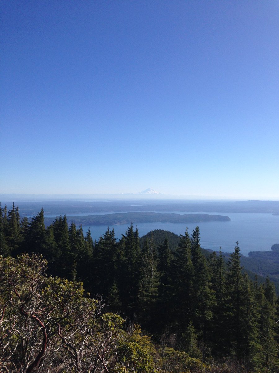 florloverr's tweet photo. What a wonderful world ❤️ You can see #MtRainier from the view point at #MtWalker #OlympicNationalForest 🏔 https://t.co/kDfij627sm