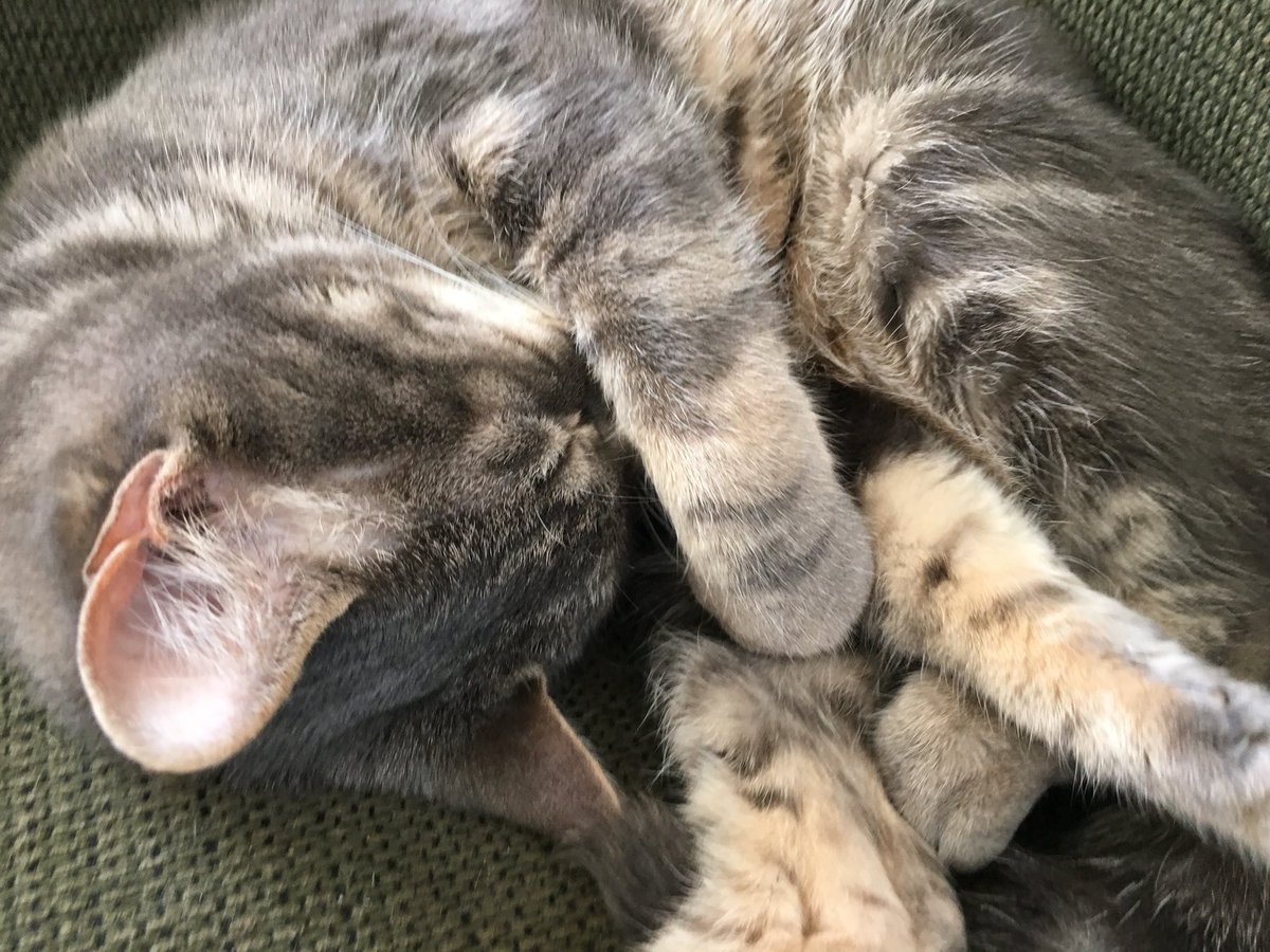 We are still on vacation.