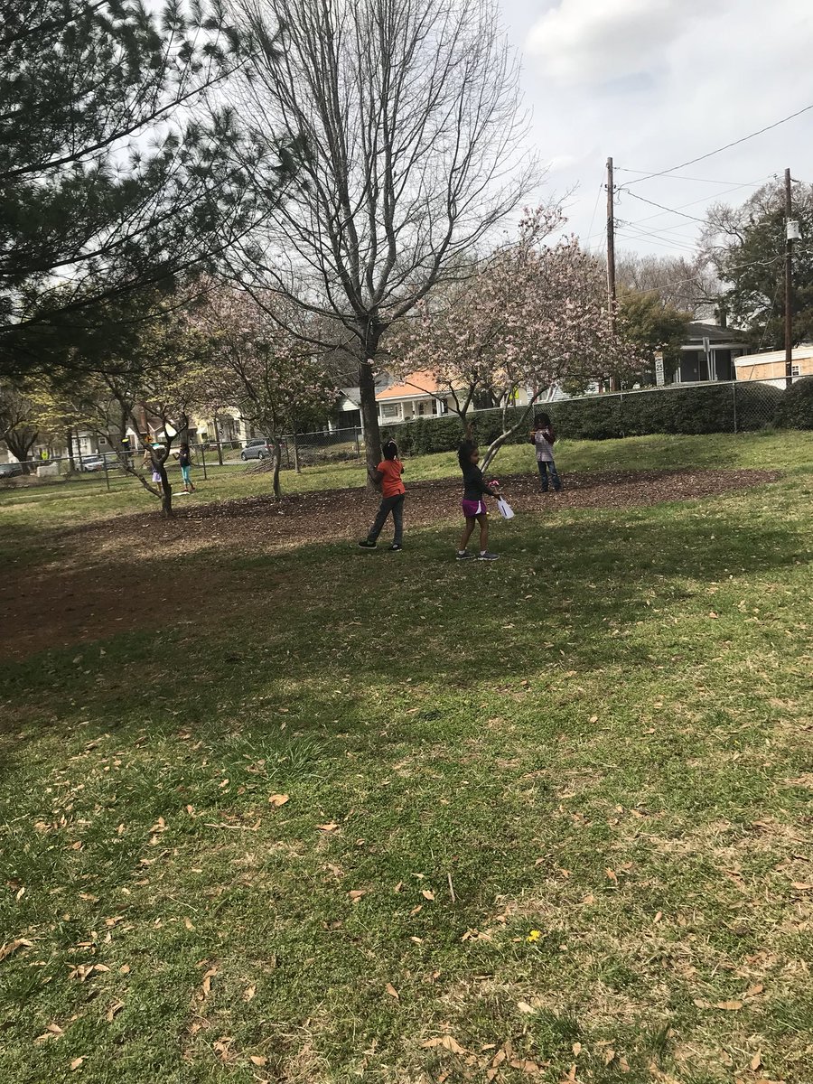 MrsDukesclass's tweet photo. We spent all week researching and engineering our kites, now let’s put them to the test! @HunterPrincipal https://t.co/XXpvLRrHpF