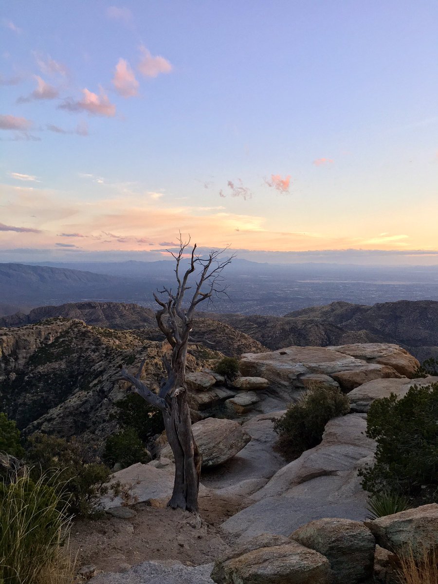 frugaltraveler's tweet photo. Had a fantastic time in Tucson, Arizona. Latest piece! https://t.co/bUPlG9apWQ https://t.co/hPpEzLOfyK