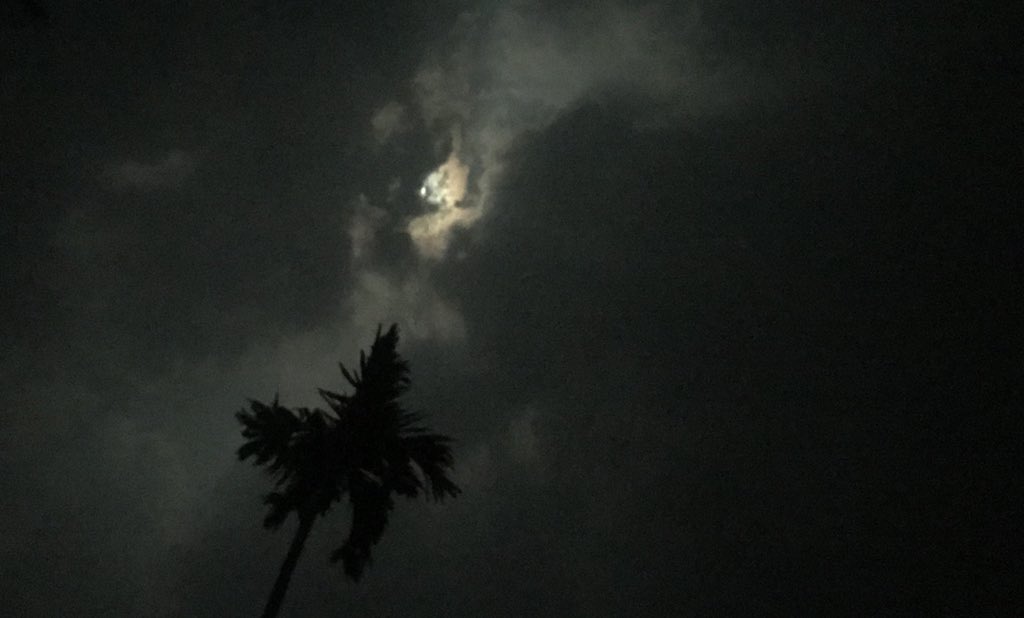 SaifArash's tweet photo. കരിമേഘത്തിലേക്ക് അമ്പിളിയൊളി��്ചയുടനെ ഒരു 'മഴത്തുള്ളൽ'...! ❤️
#LiveClick #മേഘയാത്ര https://t.co/T6WfWEug71