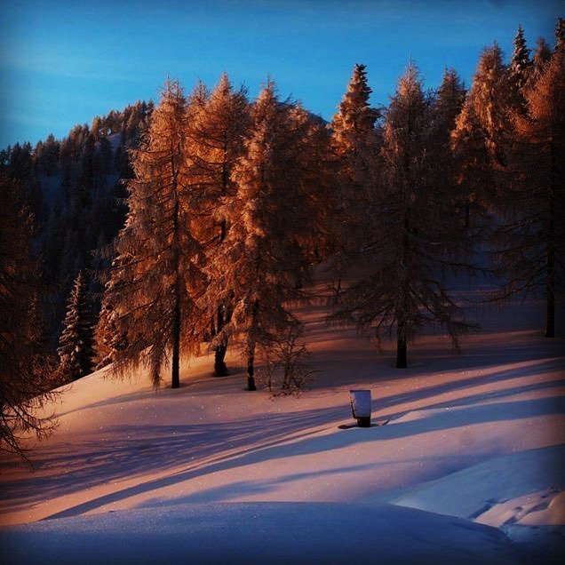 FrancescoVidott's tweet photo. When the sun goes down

#dolomiti #dolomires #rock #sempreinpiega #live #sky #fvrocklife #pandscapw #dream https://t.co/7DZgeuCfr8