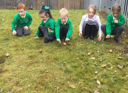 Year 1 tweet media