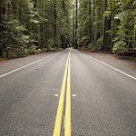 BusyMomofTwins1's tweet photo. We’ve travelled over 5000 kms so far and driven through 6 States - just over 1000 kms to go and 2 more states coming up! 
ON-MI-OH-KY-TN-GA-FL
FL-GA-SC-NC-VA-WV-MD

Coming up = PA-NY-ON
#ffttravels #epicroadtrip #familytravel https://t.co/Ut1oblgTnf