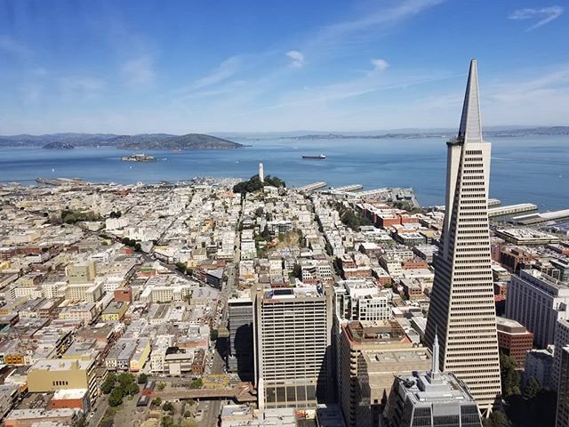 mikebogo's tweet photo. Hi San Fran! https://t.co/xuXh3PaemU https://t.co/dyL0yuePF7
