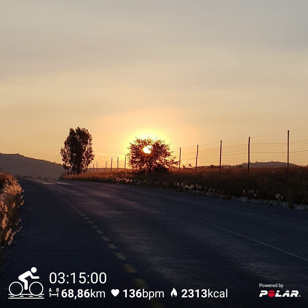BLeXAFer1's tweet photo. Sunset behind a tree - Kinda Biblical.

#500kmChallenge #LetsRide #Cycling #MTB #Ride #TimeInTheSaddle #Road #Bicycle #Challenge #Fitness #Workout #CradleofHumankind #PolarV800 #ScottCycles #Strava #JoziCyclingClub #Sunset #Support #Amen https://t.co/yyNXB9CV5g