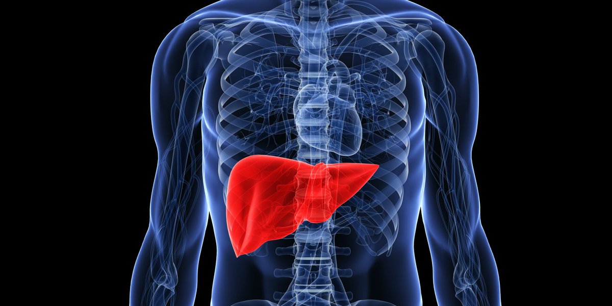 RBlaylockMD's tweet photo. Increase Your Detox Capacity
https://t.co/WdpdCOc0oM https://t.co/dDVGd04FKr