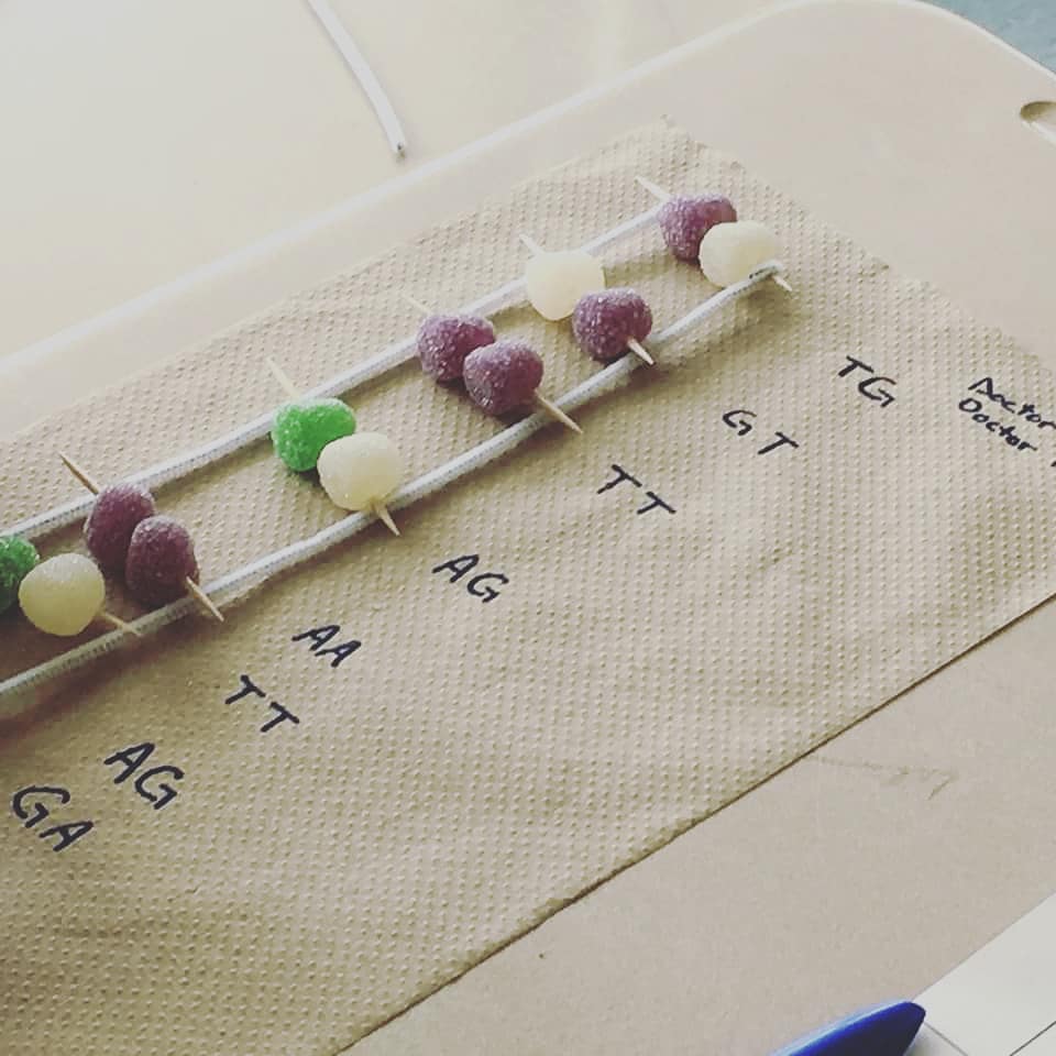 StBrigAug's tweet image. Our award-winning 7th-grade teacher, Don Fay, led his students in an experiment on how to identify &quot;DNA&quot; markers in food. 

The scientific name for DNA is deoxyribonucleic acid. It is a self-replicating material present in most living organisms.

#AwardWinnng
#ScienceProgram