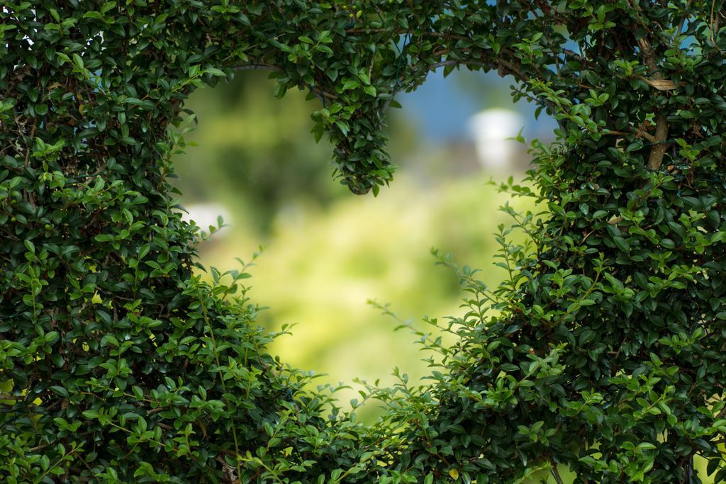 Q4. We have a couple of lovely community gardens near us. Are there any local greening projects near you which you enjoy or you’d like to shout about? @annamayb #GreeningLondonnear