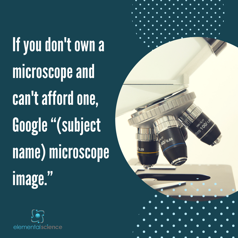 elementalscienc's tweet photo. You can #teachscience even if you don’t have a #microscope. See how in this week’s podcast: https://t.co/foCwhjuGUv #sciencehurdles #elementalscience https://t.co/uAB5G03fdv